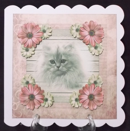 Cute Kitten card Topper Vintage Kitten by Suzi Cooper
