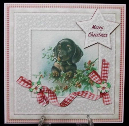 Christmasdog by Suzi Cooper