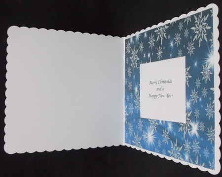 SNOWFLAKE SPARKLE BLUE by Suzi Cooper