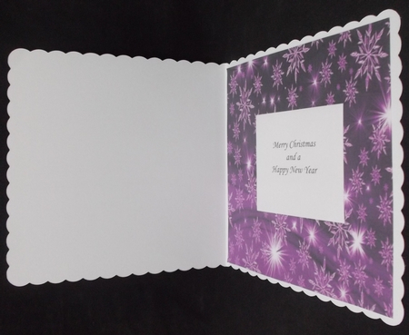 SNOWFLAKE SPARKLE PURPLE by Suzi Cooper