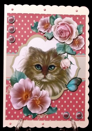 Cat in the Roses by Suzi Cooper