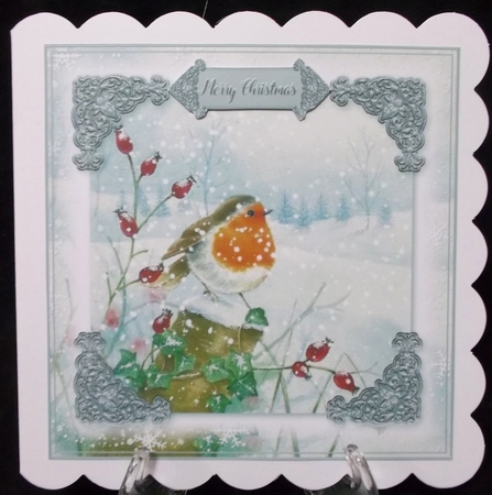 Robin Christmas 4 by Suzi Cooper