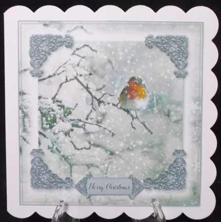 Robin Christmas 7 by Suzi Cooper