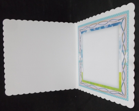 Blank Elephant  Incert by Suzi Cooper