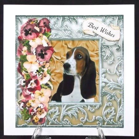 Beautiful Basset Hound by Suzi Cooper
