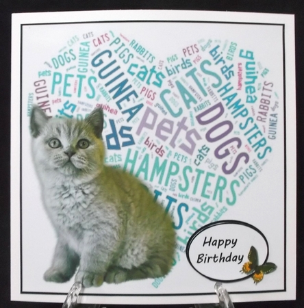 Crazy cat lady by Suzi Cooper