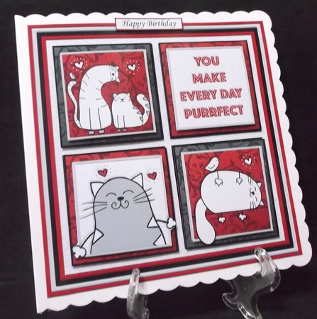 PURRFECT DAY SQUARES All Occasions 7.5 Quick Layer Card & Insert Mini Kit by Suzi Cooper