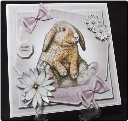 Bunny by Suzi Cooper