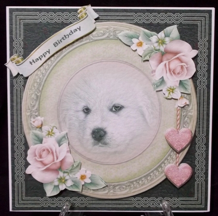 The White dog by Suzi Cooper