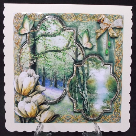 Woodland Walk 7 by Suzi Cooper