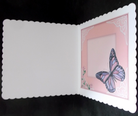 whos counting insert by Suzi Cooper