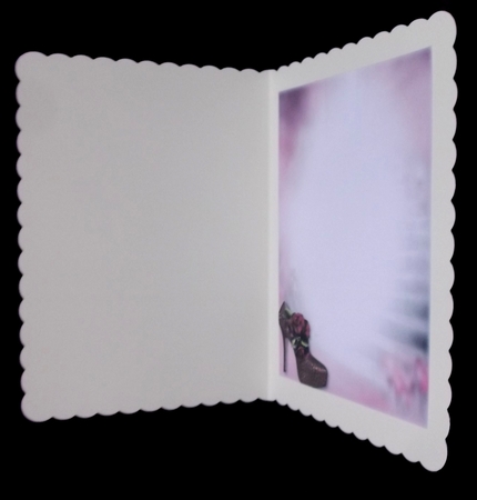 Stunning Shoes 2 Roses INSERTS Bumper Kit by Suzi Cooper