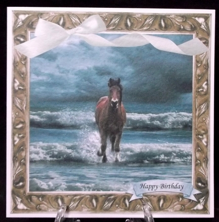 GALLOPING HORSE WITH SELECTION OF SENTIMENTS by Suzi Cooper
