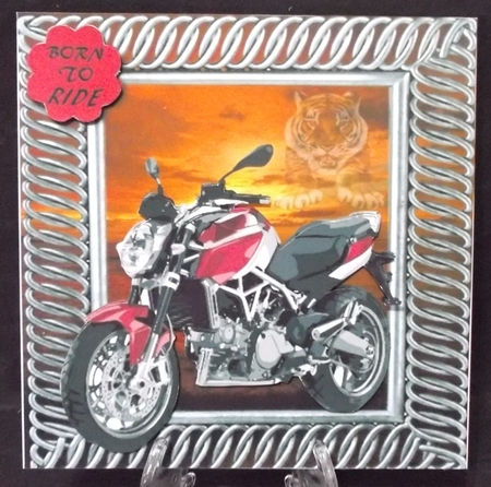 born to ride  by Suzi Cooper