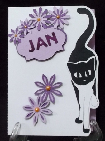 Cat Edge Card by Suzi Cooper