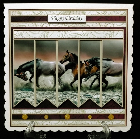 HORSES IN SEA 7.5 Alphabet and Age Quick Card Kit Create Any Name by Suzi Cooper