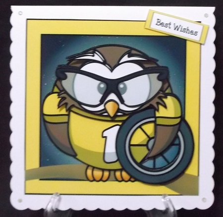 Big Owls Male Bumper Kit by Suzi Cooper