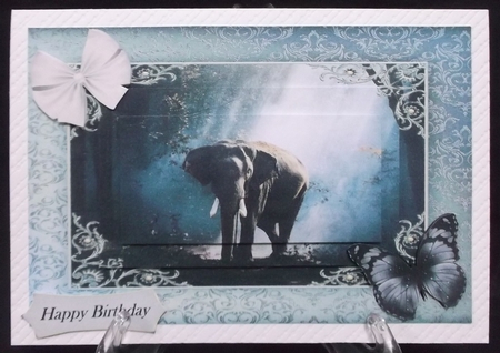 Follow the Elephant Path 1 by Suzi Cooper