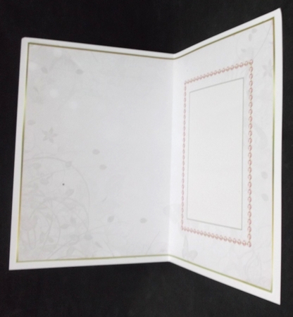 Champagne colour Butterfly Insert  by Suzi Cooper