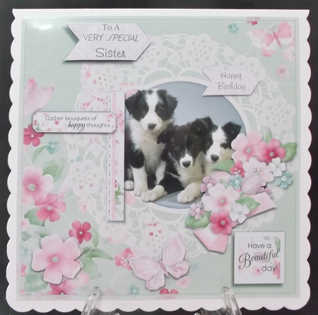 Border Collie Puppies and Flowers by Suzi Cooper