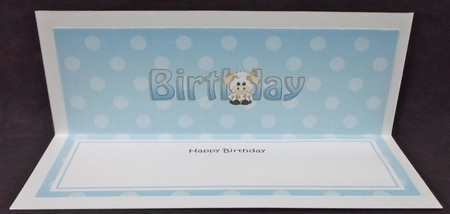Large DL HAPPY BIRTHDAY insert by Suzi Cooper