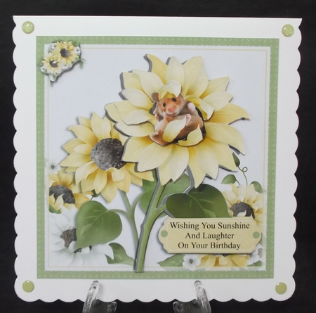 Sunflower Snooze by Suzi Cooper