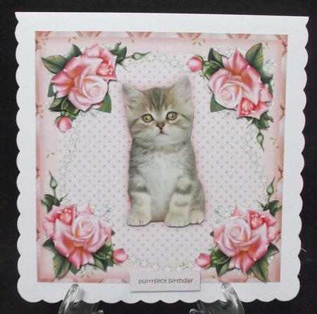 Cute Kitten Purrrfect birthday by Suzi Cooper