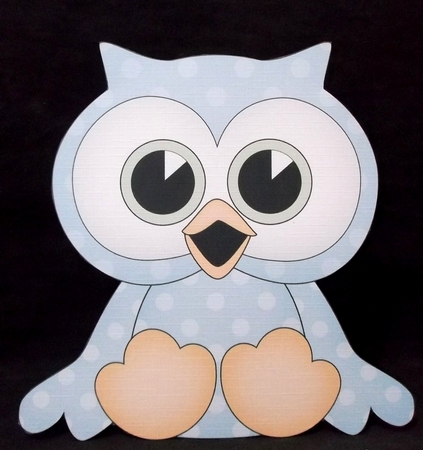 3D Cute Bird Treat Box Gift Set Mini Kit - Cute Little Oscar Owl by Suzi Cooper