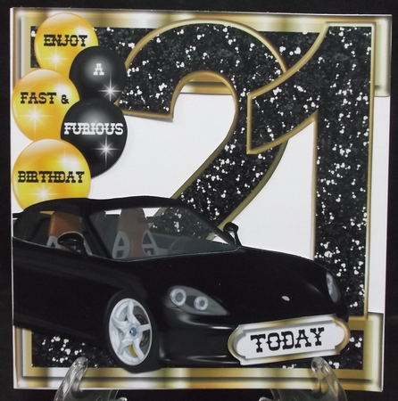 Fast & Furious Birthday Celebration - 21 Today by Suzi Cooper