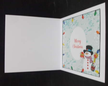 Merry Robins - Insert by Suzi Cooper