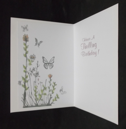 Thrilling Birthday by Suzi Cooper