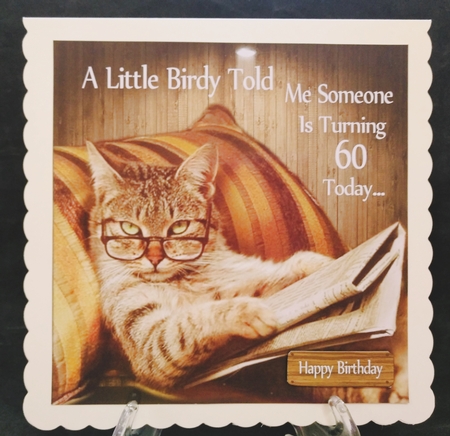 A Little Birdy Told Me Someones Turning 60 Today 8x8 by Suzi Cooper