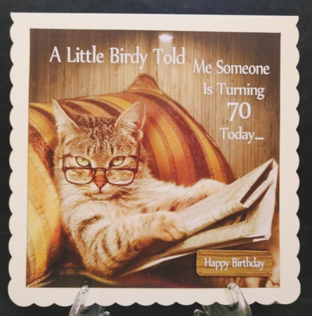 A Little Birdy Told Me Someones Turning 70 Today 8x8 by Suzi Cooper