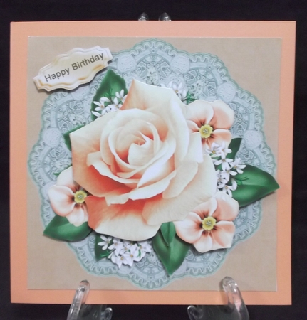 Lace and peach roses by Suzi Cooper