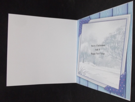 Gorgeous Blue Winter Insert  8x8 by Suzi Cooper