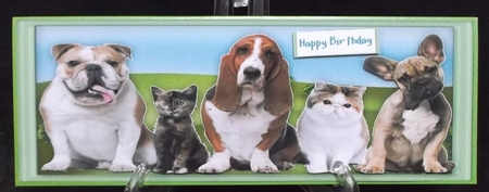 Large DL Its A Dogs Life by Suzi Cooper