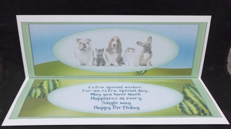 DL,Blank Insert Its A Dogs Life by Suzi Cooper