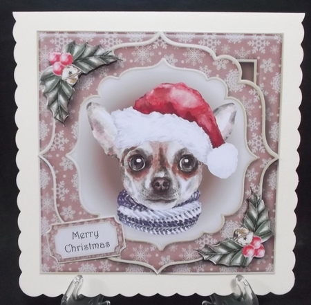 Gorgeous Christmas Dog - Chihuahua by Suzi Cooper