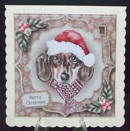 Gorgeous Christmas Dog - Dachshund by Suzi Cooper