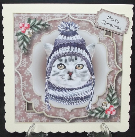 Gorgeous Christmas Cat - Grey Tabby 8x8 by Suzi Cooper