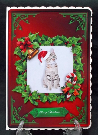 Cat Christmas Card Front Red 1 by Suzi Cooper