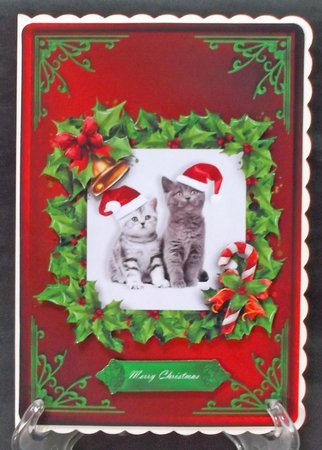 Cats Christmas Card Front Red 1 by Suzi Cooper