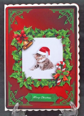Kitten Christmas Card Front Red 1 by Suzi Cooper