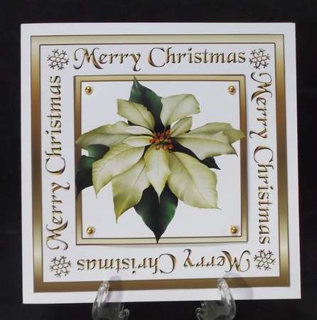 Christmas bumper pk3 by Suzi Cooper