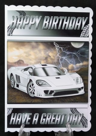 The White Sports Car by Suzi Cooper