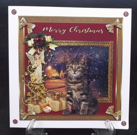  7x7 Merry Christmas Cat 4 by Suzi Cooper