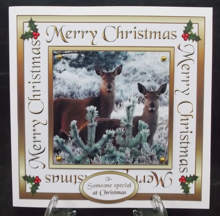 Christmas bumper pk4 by Suzi Cooper