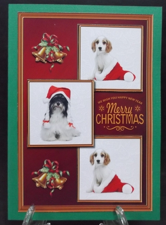 Christmas Animal 3 squared card front by Suzi Cooper