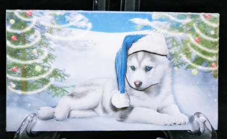 Christmas Husky Puppy in the Snow Money Wallet by Suzi Cooper