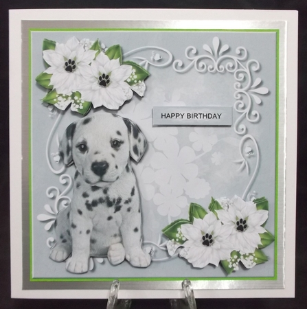  Paw Prints Birthday Card Mini Kit by Suzi Cooper